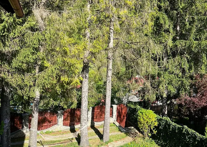 Red House Sinaia Hotel